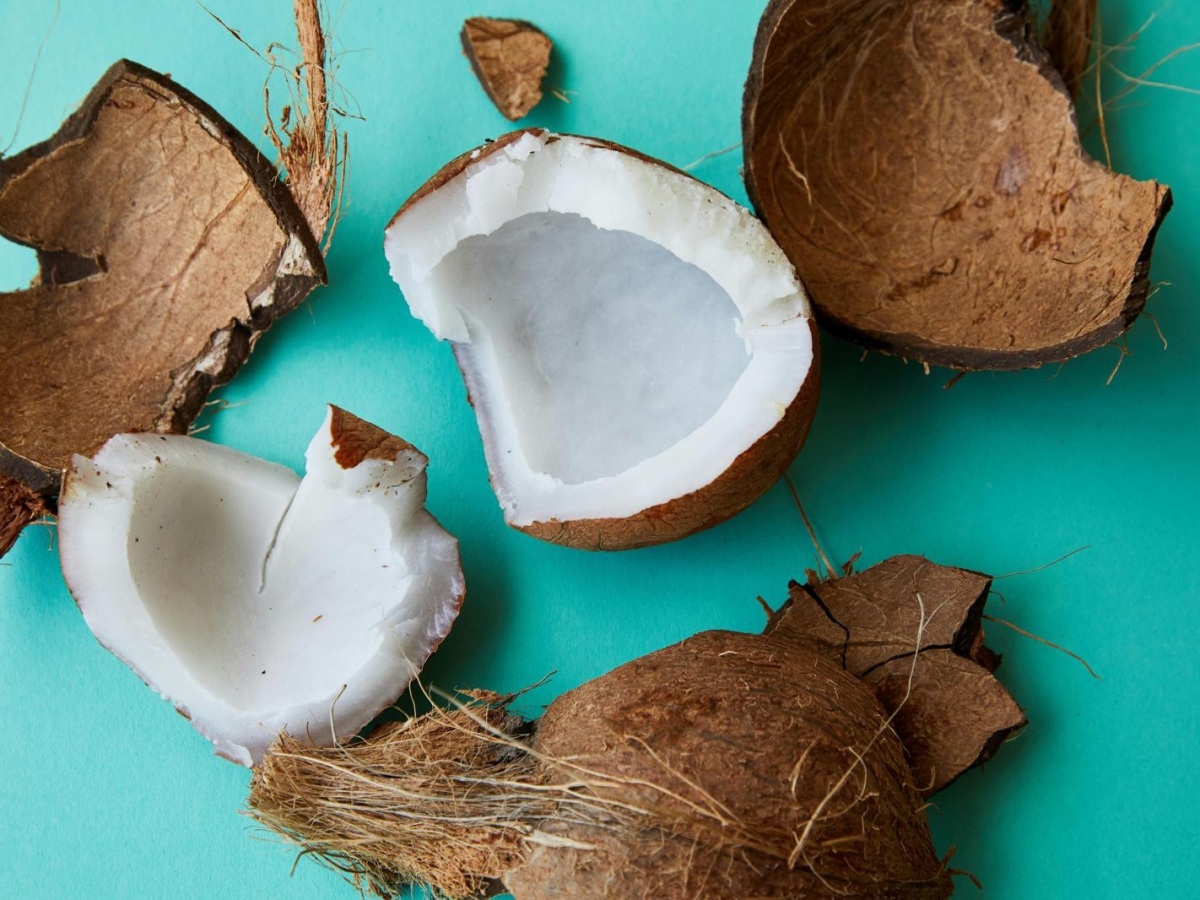 🇳🇱 De Expat en de Kokosnoot 🇬🇧 The Expat and The Coconut